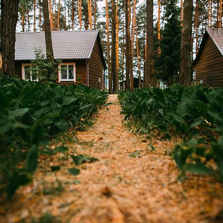 Duck Lake Villa Polatsk Buitenkant foto