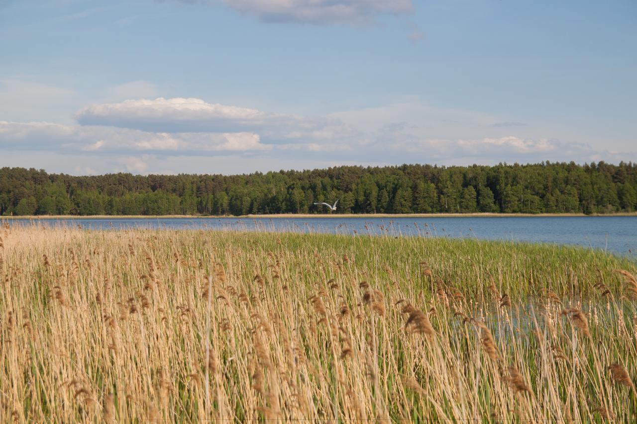 Duck Lake Villa Polatsk Buitenkant foto